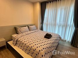 คอนโด 1 ห้องนอน ให้เช่า ในโครงการ เดอะ พรีโอ ซิกเนเจอร์ คอนโด เชียงใหม่, ป่าแดด, เมืองเชียงใหม่, เชียงใหม่