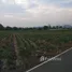  Land for sale in Rayong, Samnak Thon, Ban Chang, Rayong
