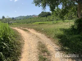 ขายที่ดิน ใน ป่าคลอก, ภูเก็ต, ป่าคลอก, ถลาง