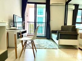 1 Bedroom Condo for rent at ZCAPE III, Wichit, Phuket Town, Phuket, Thailand