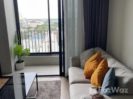 1 Bedroom Condo for rent at Ideo Q Sukhumvit 36, Khlong Tan