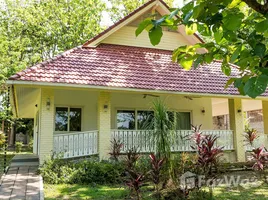 4 Bedroom House for sale in Doi Saket Chiang Mai, Mae Pong, Doi Saket, Chiang Mai