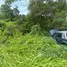  Land for sale in Bo Phut, Surat Thani, Bo Phut, Koh Samui, Surat Thani, Thailand