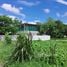  Land for sale in Thailand, Suthep, Mueang Chiang Mai, Chiang Mai, Thailand