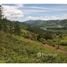  Terrain for sale in Cartago, Paraiso, Cartago