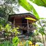 6 Bedroom House for sale in Hojancha, Guanacaste, Hojancha