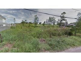  Land for sale in Rio Grande do Sul, Sapiranga, Sapiranga, Rio Grande do Sul