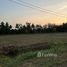  Land for sale in Phetchabun, Sadiang, Mueang Phetchabun, Phetchabun