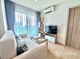 ขายคอนโด 1 ห้องนอน ในโครงการ ดิ เอ็กเซล ไฮด์อะเวย์ สุขุมวิท 50 , พระโขนง