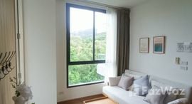 Hill Myna Condotel 在售单元