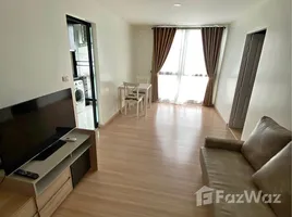 คอนโด 1 ห้องนอน ให้เช่า ในโครงการ ชาโตว์ อินทาวน์ สุขุมวิท 64/1, บางจาก