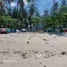  Land for sale in Koh Samui Surat Thani, Na Mueang, Koh Samui