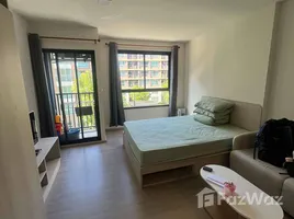 อพาร์ทเม้นท์ สตูดิโอ ให้เช่า ในโครงการ ดีคอนโด รีฟ ภูเก็ต, กะทู้, กะทู้