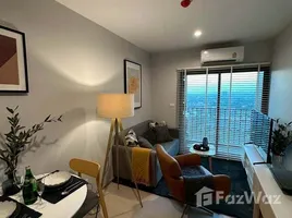 คอนโด 1 ห้องนอน ให้เช่า ในโครงการ นิว โนเบิล ศรีนครินทร์ – ลาซาล, สำโรงเหนือ, เมืองสมุทรปราการ