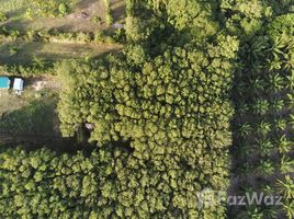 ขายที่ดิน ใน ตลิ่งงาม, สุราษฎร์ธานี, ตลิ่งงาม, เกาะสมุย