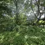  Land for sale in Don Kaeo, Chiang Mai, Don Kaeo, Saraphi, Chiang Mai