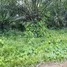  Terreno for sale in Presidente Figueiredo, Amazonas, Balbina, Presidente Figueiredo