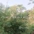  Land for sale in Sai Noi, Nonthaburi, Nong Phrao Ngai, Sai Noi