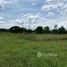  Land for sale in Thailand, Nong Ruea, Nong Ruea, Khon Kaen, Thailand