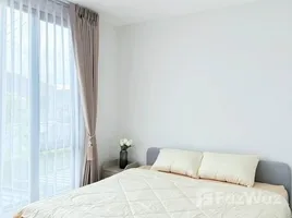 3 Bedroom Townhouse for rent at Pleno Bangna-Wongwaen, Bang Phli Yai, Bang Phli, Samut Prakan, Thailand