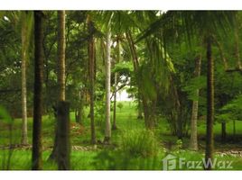  Terrain for sale in Santa Cruz, Guanacaste, Santa Cruz