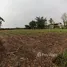  Земельный участок for sale in Nong Ya Khao, Накхон Ратчасима, Nong Ya Khao
