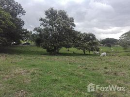  Land for sale in Alajuela, Alajuela, Alajuela