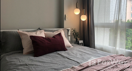 ยูนิตมือสองและให้เช่า