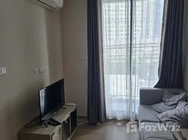 คอนโด 1 ห้องนอน ให้เช่า ในโครงการ เดอะ เนสท์ สุขุมวิท 71, พระโขนงเหนือ, วัฒนา, กรุงเทพมหานคร, ไทย