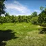  Land for sale in Pran Buri, Hua Hin, Pran Buri, Pran Buri