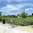  Land for sale in Thailand, Ban Mai, Pak Kret, Nonthaburi, Thailand