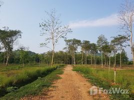 北标 Cha-Om Mountain View Land 19 Rai For Sale Near Khao Yai N/A 土地 售 