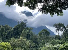 ขายที่ดิน ใน เชียงดาว, เชียงใหม่, เชียงดาว