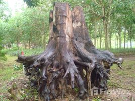  Grundstück zu verkaufen in Bo Thong, Chon Buri, Kaset Suwan, Bo Thong