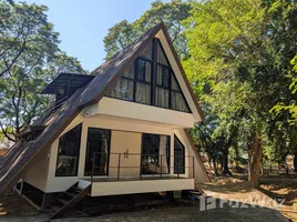 บ้านเดี่ยว 1 ห้องนอน ให้เช่า ในทำเล วัดเกต, เชียงใหม่, วัดเกต, เมืองเชียงใหม่, เชียงใหม่, ไทย