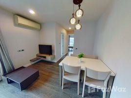 2 Schlafzimmer Wohnung zu vermieten im The Crest Sukhumvit 49, Khlong Tan Nuea