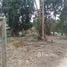  Land for sale at Puchuncavi, Quintero