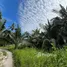  Land for sale in Bo Phut, Surat Thani, Bo Phut, Koh Samui