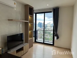 อพาร์ทเม้นท์ 1 ห้องนอน ให้เช่า ในโครงการ มารุ เอกมัย 2, คลองตันเหนือ