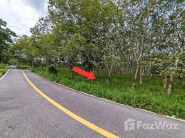  Land for sale in Mueang Nakhon Si Thammarat, Nakhon Si Thammarat, Chai Montri, Mueang Nakhon Si Thammarat