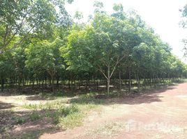  Земельный участок for sale in Si Maha Phot, Prachin Buri, Nong Phrong, Si Maha Phot