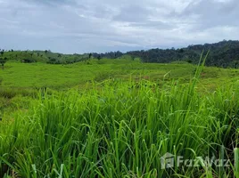  Terreno for sale in Amazonas, Balbina, Presidente Figueiredo, Amazonas