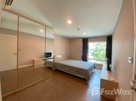 2 спален Квартира в аренду в The Crest Sukhumvit 49, Khlong Tan Nuea, Щаттхана, Бангкок