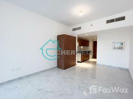 Studio Apartment for sale at Oasis 1, Oasis Residences, Masdar City, Abu Dhabi