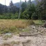  Land for sale in Barat Daya Southwest Penang, Penang, Pulau Betong, Barat Daya Southwest Penang