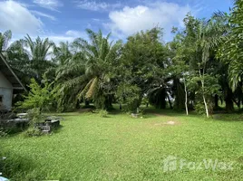  Land for sale in Ban Na Doem, Surat Thani, Na Tai, Ban Na Doem