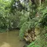 Terrain à vendre à Mu Si, Nakhon Ratchasima, Mu Si, Pak Chong, Nakhon Ratchasima, Thaïlande