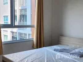 1 chambre Condominium à louer à , Khlong Suan Phlu, Phra Nakhon Si Ayutthaya, Phra Nakhon Si Ayutthaya