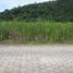  Land for sale at Massaguaçu, Fernando De Noronha, Fernando De Noronha, Rio Grande do Norte, Brazil