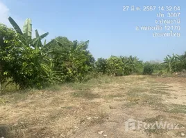 ขายที่ดิน ใน บึงบอน, ปทุมธานี, บึงบอน, หนองเสือ, ปทุมธานี
